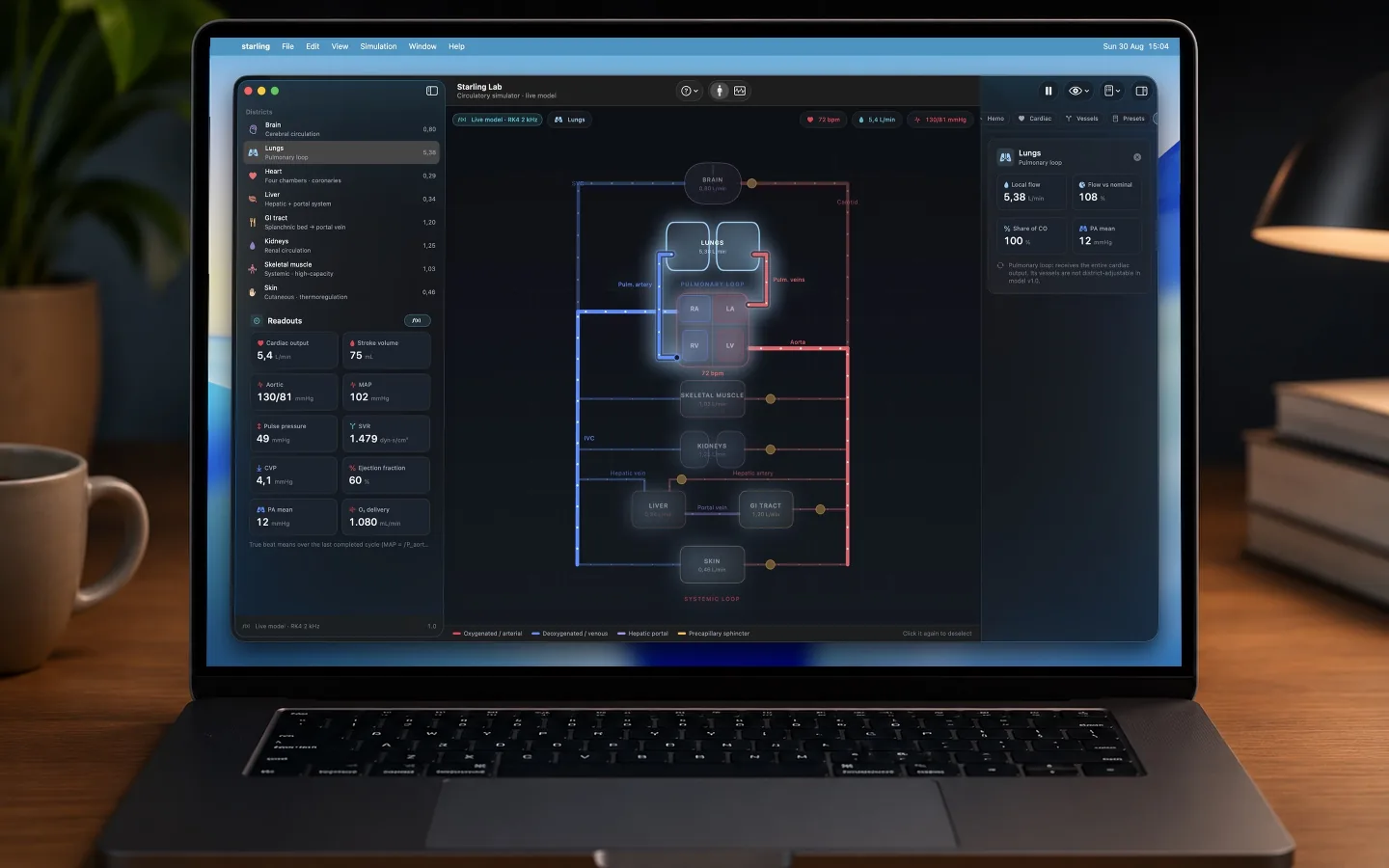 The lungs district selected on a MacBook, highlighted in the schematic with its inspector open